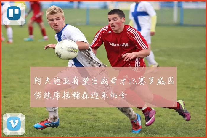 阿夫迪亚有望出战奇才比赛罗威因伤缺席杨瀚森迎来机会