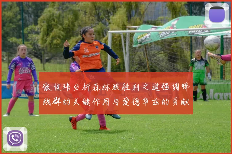 张佳玮分析森林狼胜利之道强调锋线群的关键作用与爱德华兹的贡献