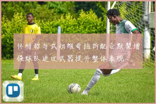 怀特称与武切维奇挡拆配合默契增强球队进攻武器提升整体表现